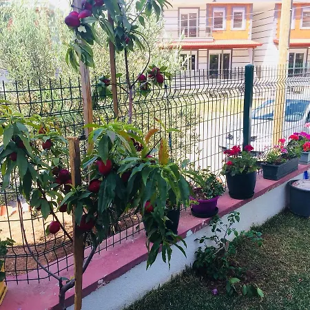 Flora Maya House Ayvalı
